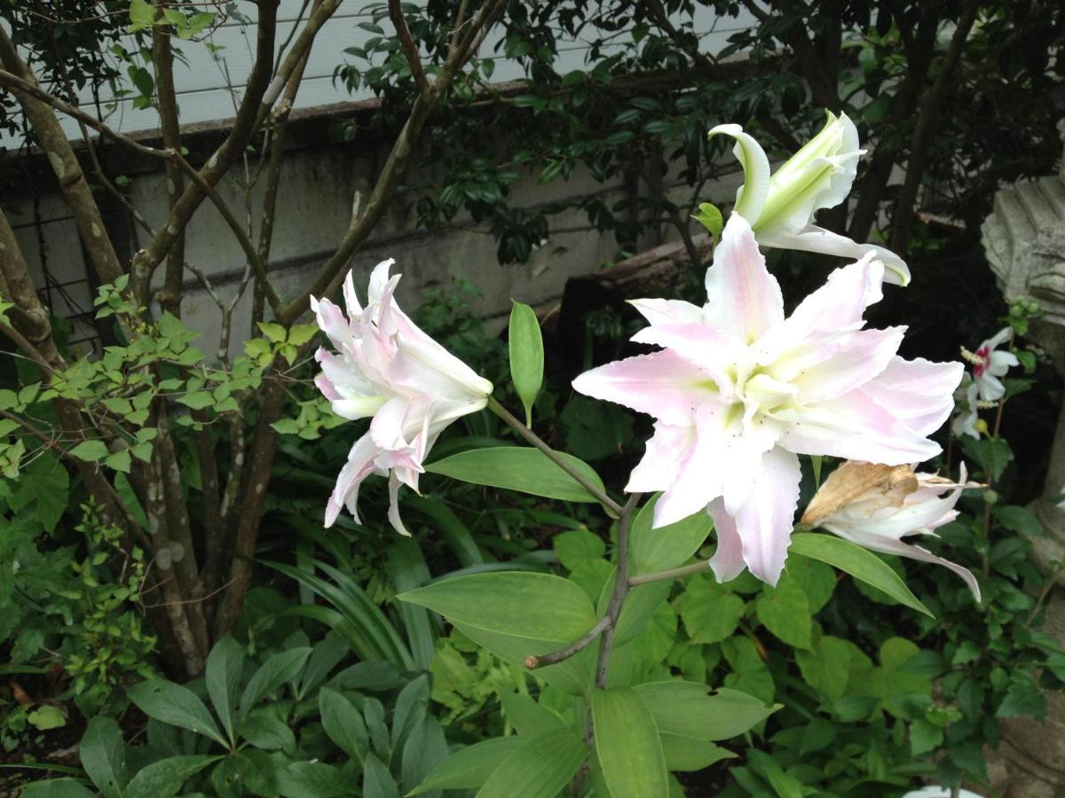 Otsu Nature Garden Akiruno Bagian luar foto