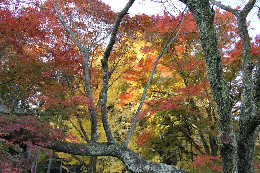 Otsu Nature Garden Akiruno Bagian luar foto